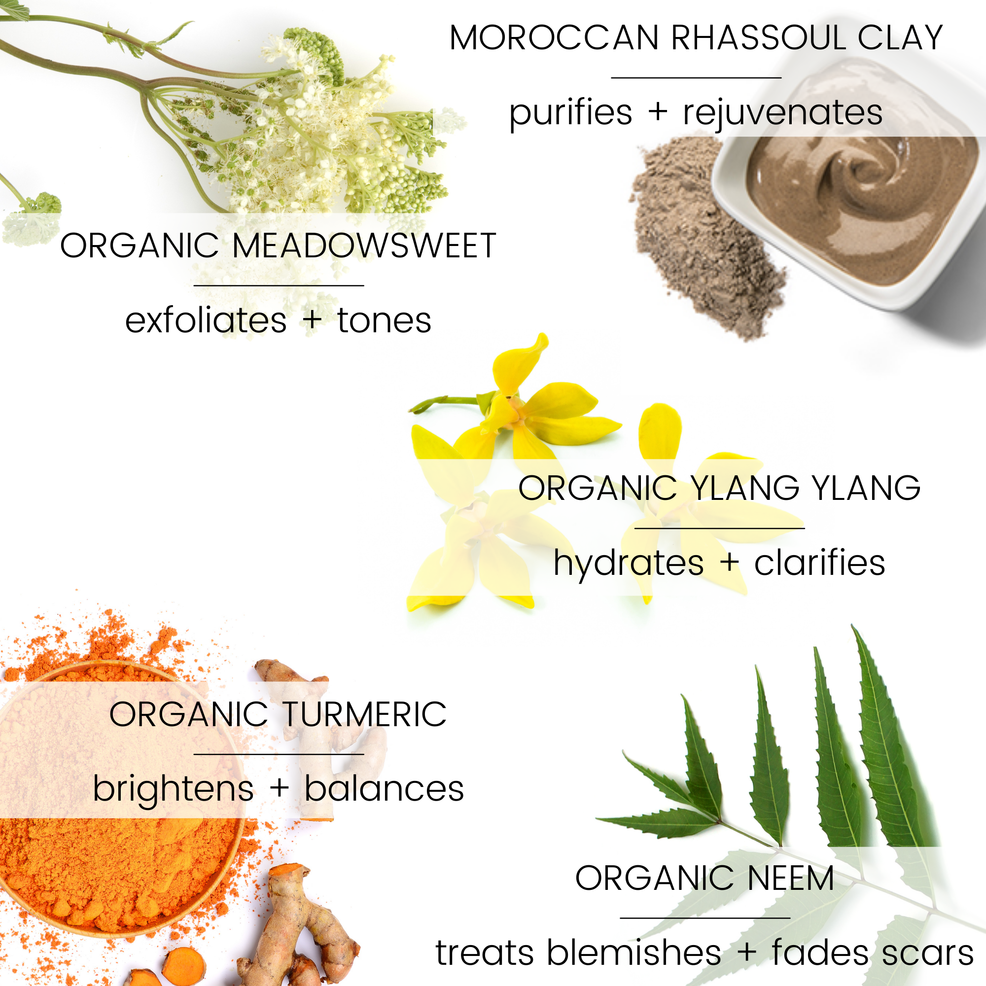 Vegan Mia: Clarity Turmeric &amp; Neem Moroccan Clay Mask