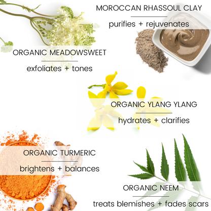 Vegan Mia: Clarity Turmeric &amp; Neem Moroccan Clay Mask